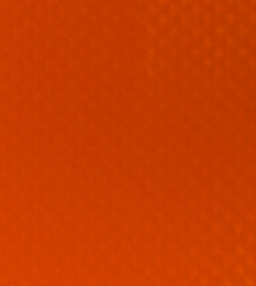Boertli3